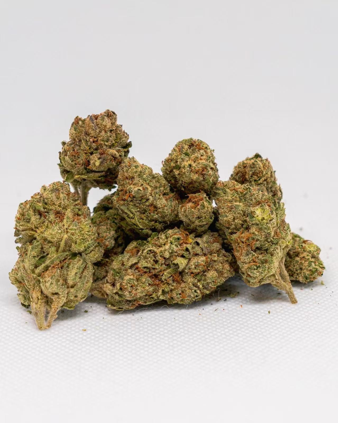 Gelato King (smalls)