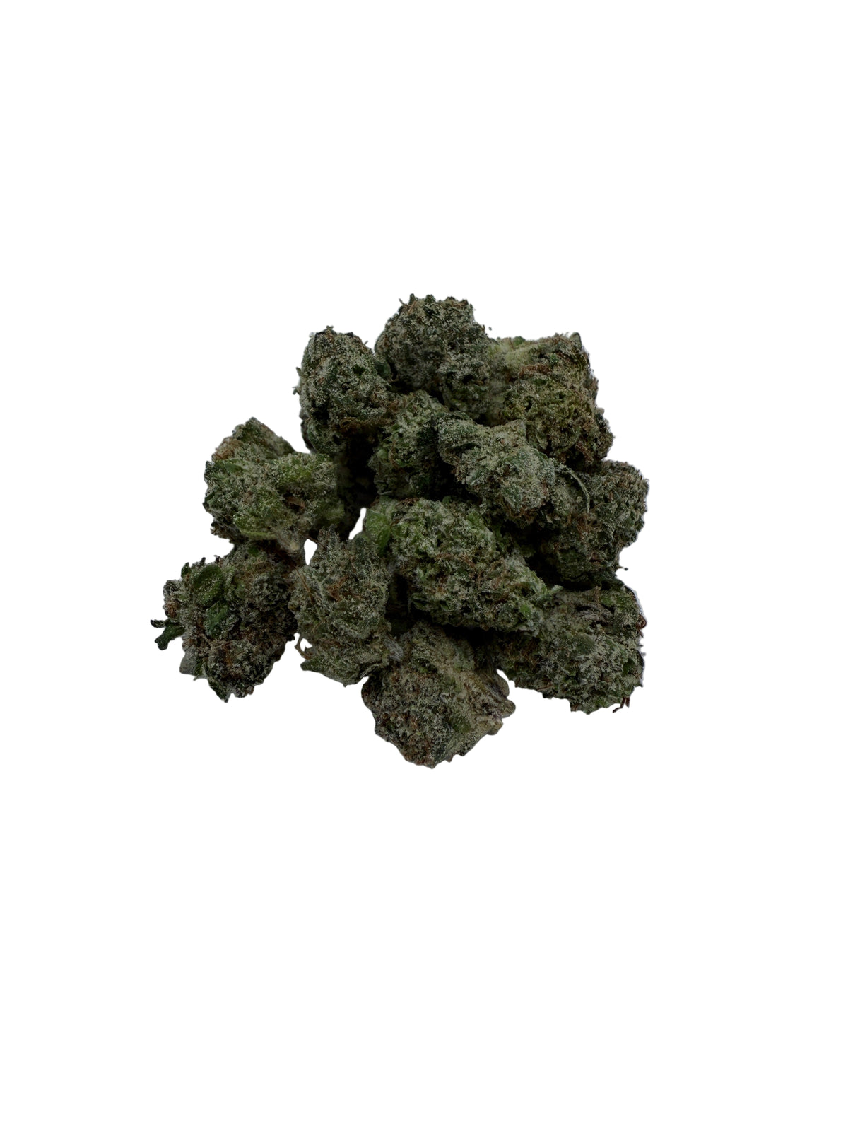 Gelato King (smalls)