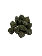 Gelato King (smalls)