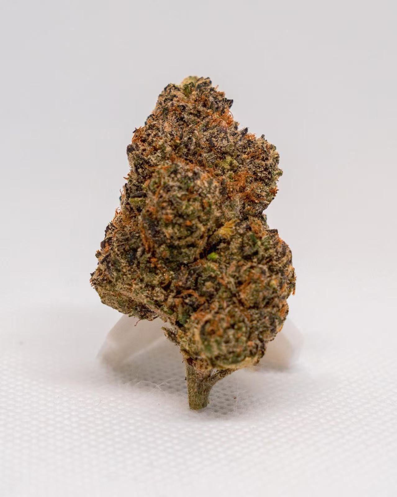 Lemon Cherry Gelato